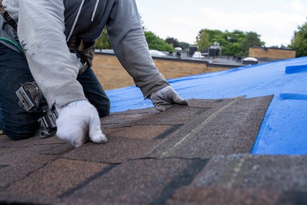Reliable San Leandro, CA Roofing Contractor Solutions